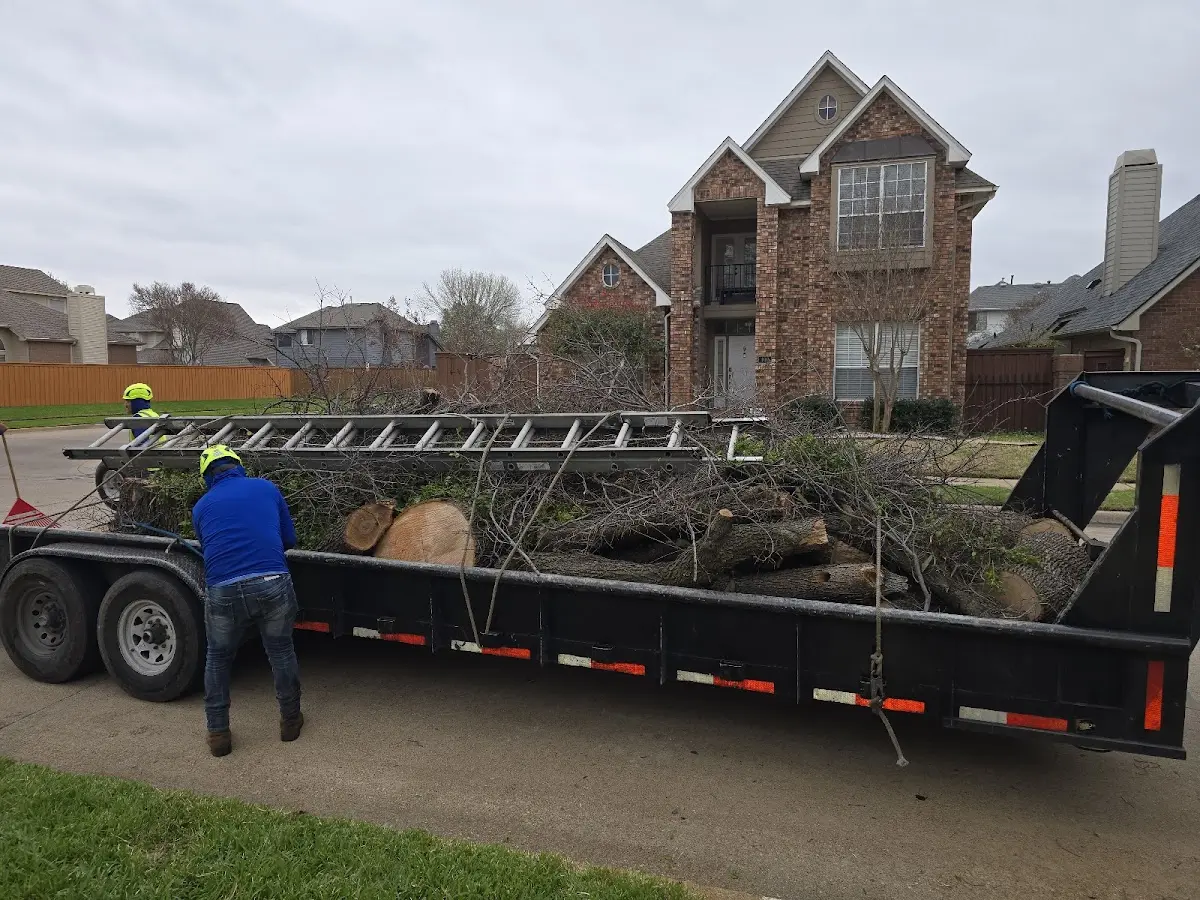 Expert Tree Pest Control with proper safety equipment in Greenville